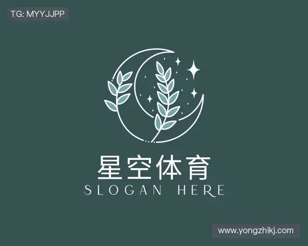 关于xingkong.com